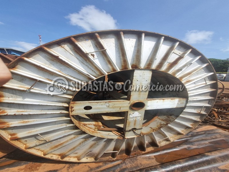 WhatsApp Image 2025-11-07 at 12.54.00 PM.jpg